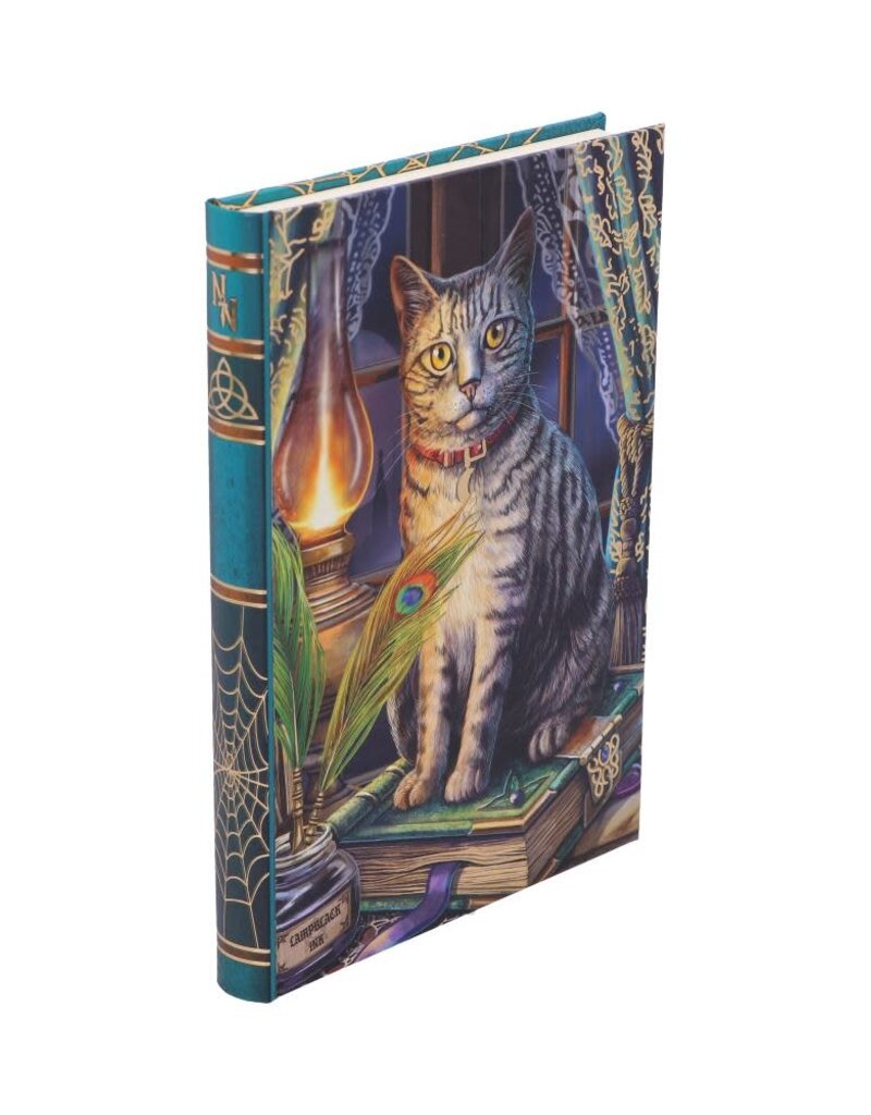 Lisa Parker Book of Shadows Journal (LP) - 17 cm