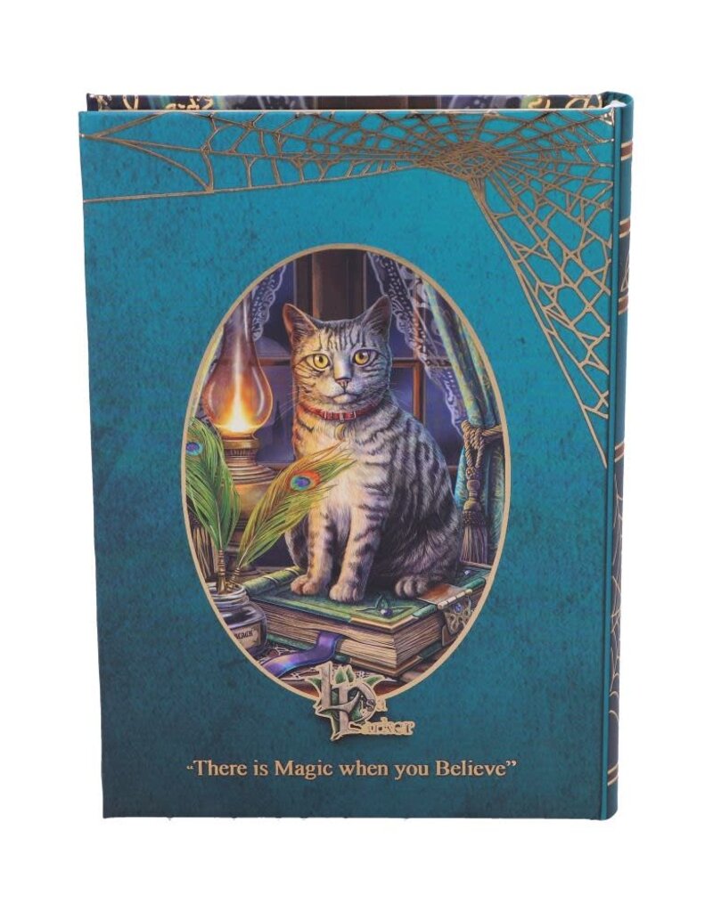 Lisa Parker Book of Shadows Journal (LP) - 17 cm