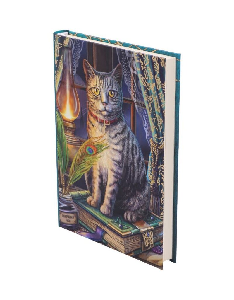 Lisa Parker Book of Shadows Journal (LP) - 17 cm