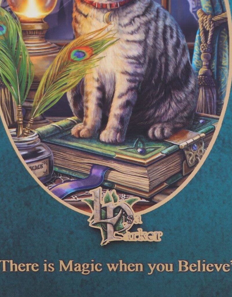 Lisa Parker Book of Shadows Journal (LP) - 17 cm