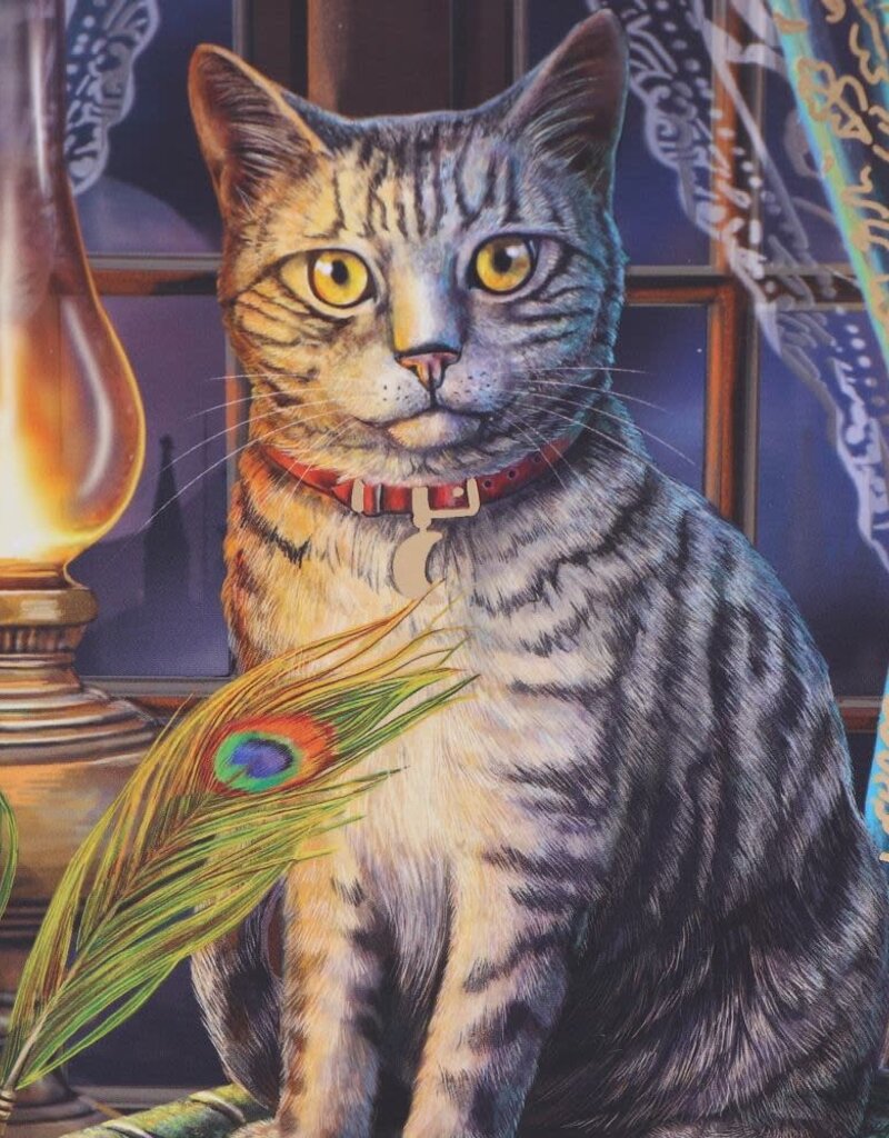 Lisa Parker Book of Shadows Journal (LP) - 17 cm