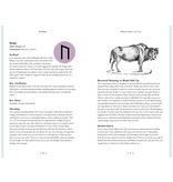 Runes: Your Personal Guide (In Focus)