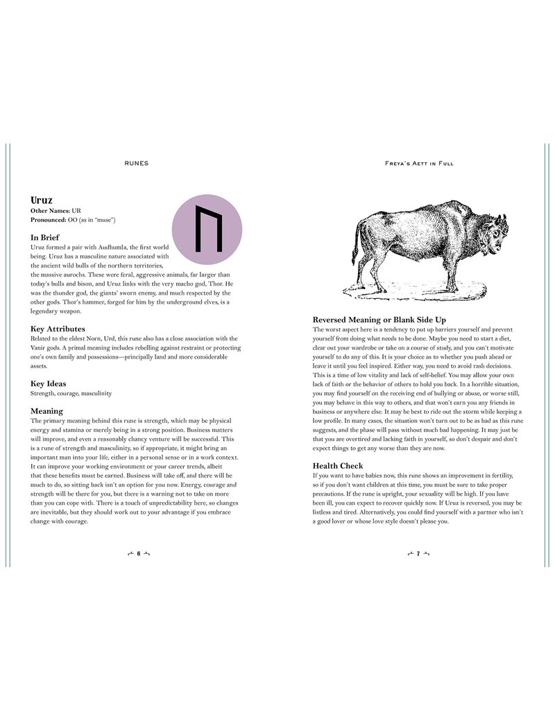 Runes: Your Personal Guide (In Focus)