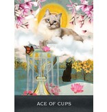 Grimalkin's Curious Cats Tarot: An 80-Card Deck and Guidebook