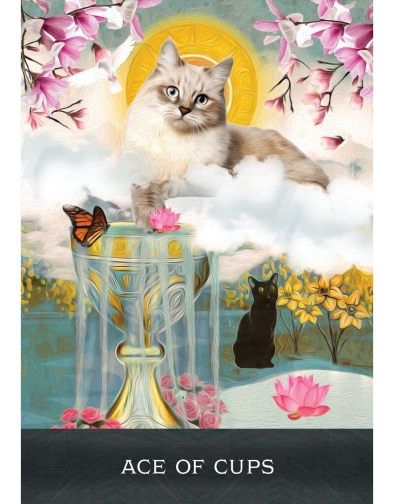 Grimalkin's Curious Cats Tarot: An 80-Card Deck and Guidebook