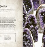 The Witch's Complete Guide to Crystals