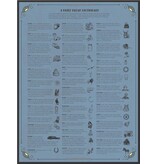 In Focus Dreams: Your Personal Guide