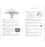 In Focus Dreams: Your Personal Guide