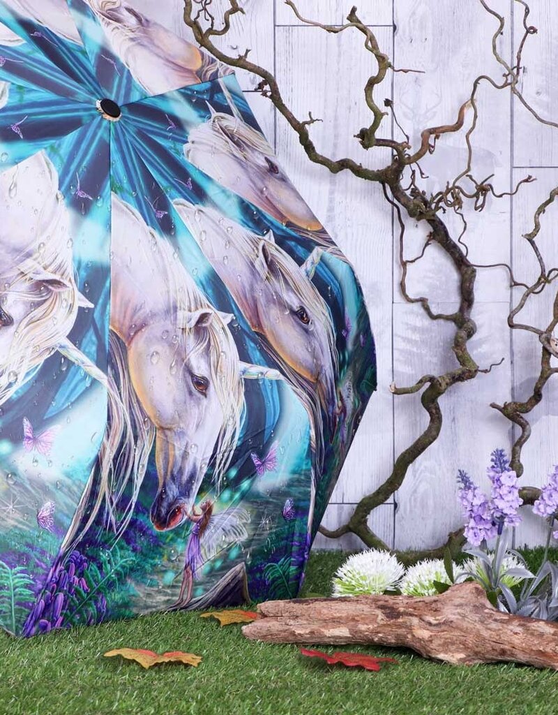 Lisa Parker Fairy Whispers Umbrella (LP)