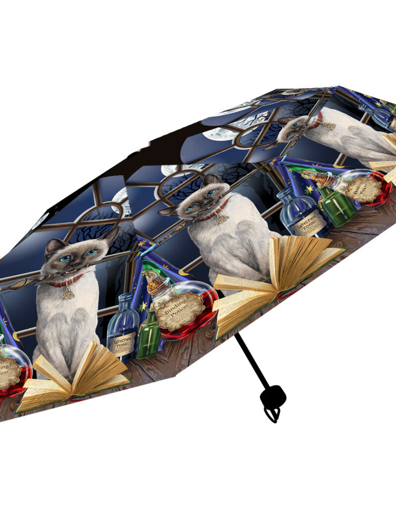 Lisa Parker Hocus Pocus Umbrella (LP)