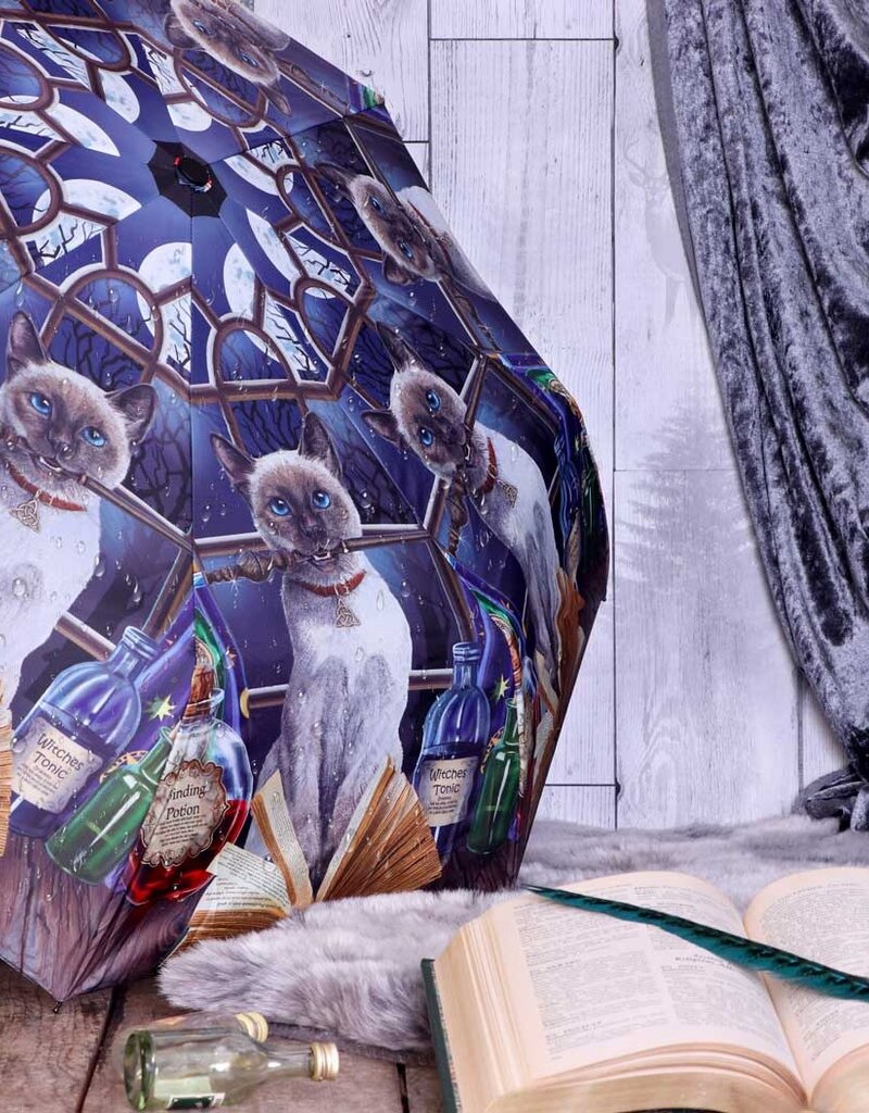 Lisa Parker Hocus Pocus Umbrella (LP)