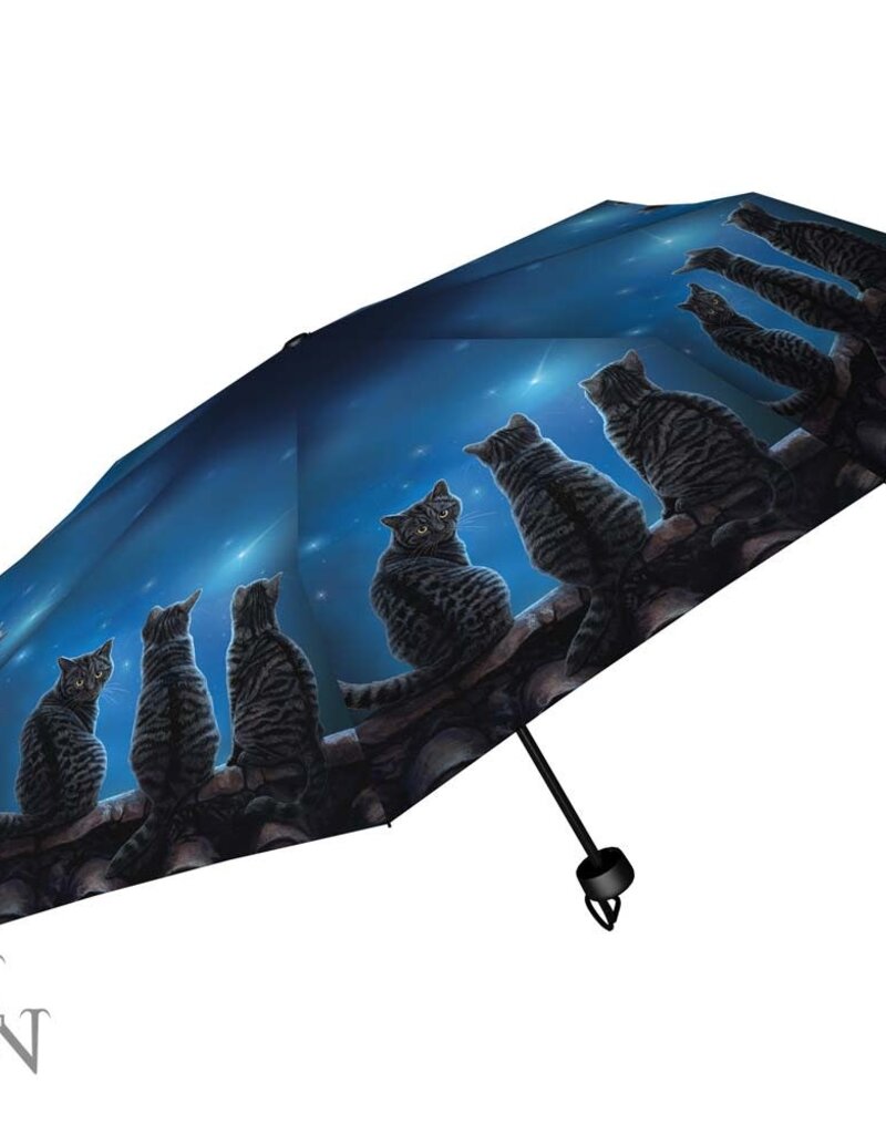 Lisa Parker Wish Upon a Star Umbrella (LP)