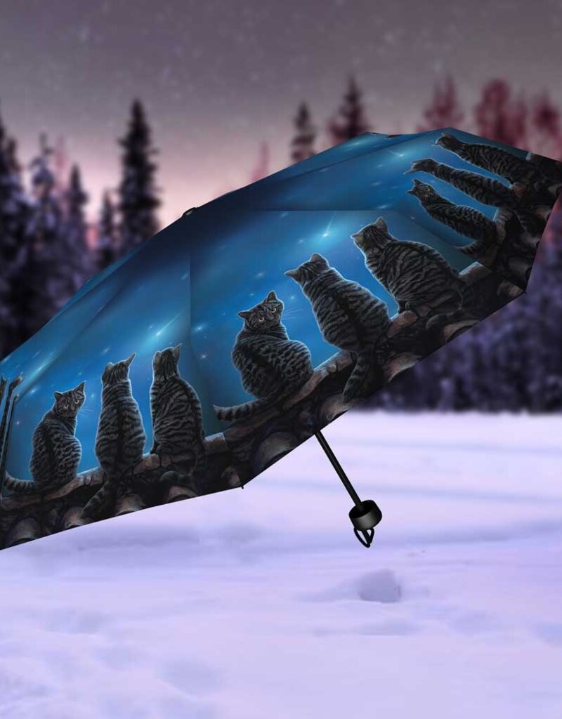 Lisa Parker Wish Upon a Star Umbrella (LP)