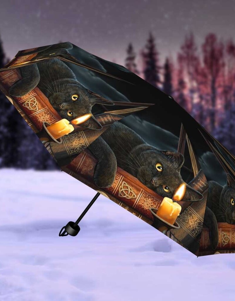 Lisa Parker Witching Hour Umbrella (LP)