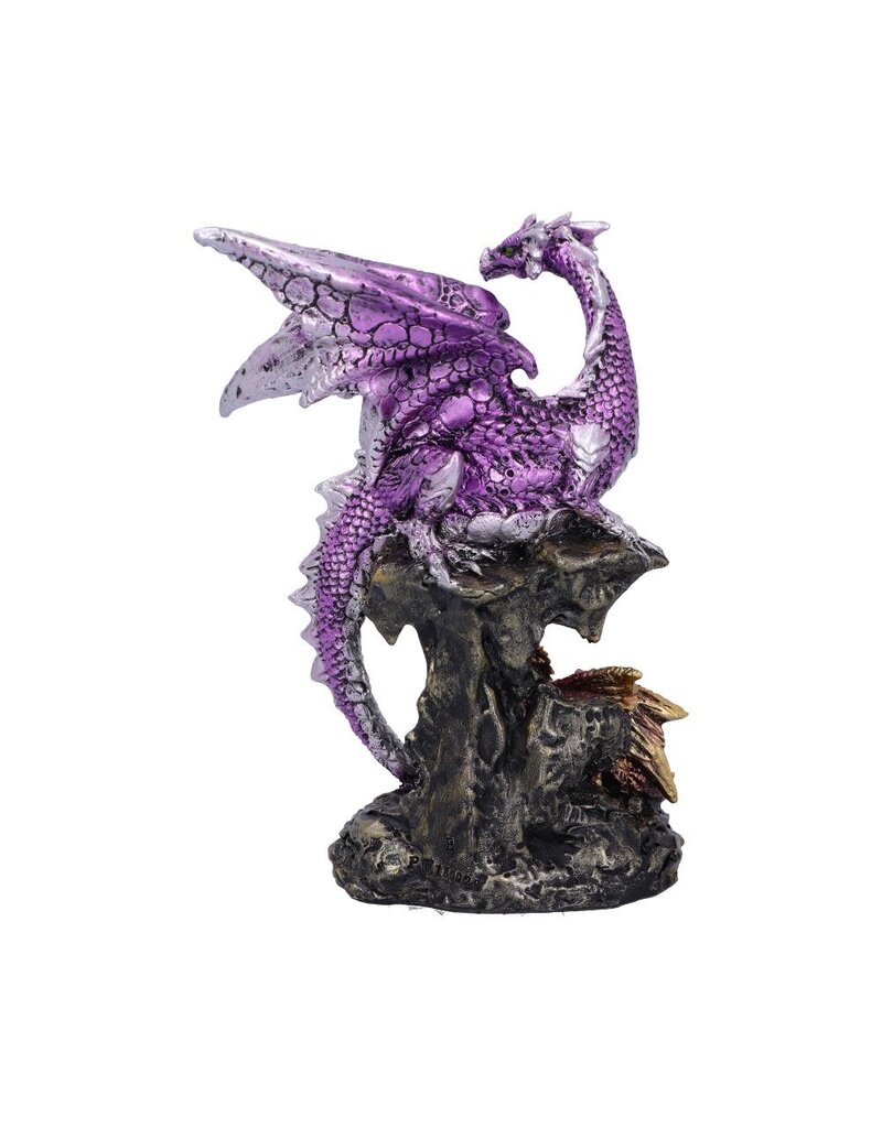 Nemesis Now Hatchling Protection 15.2cm (J1*)