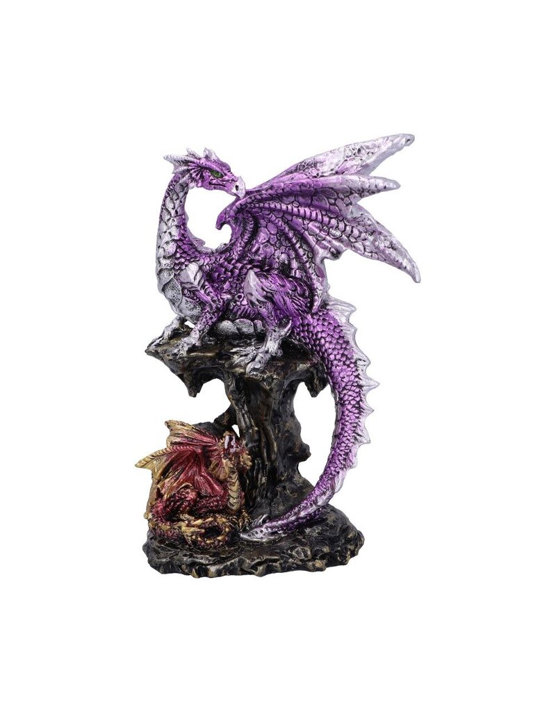 Nemesis Now Hatchling Protection 15.2cm (J1*)
