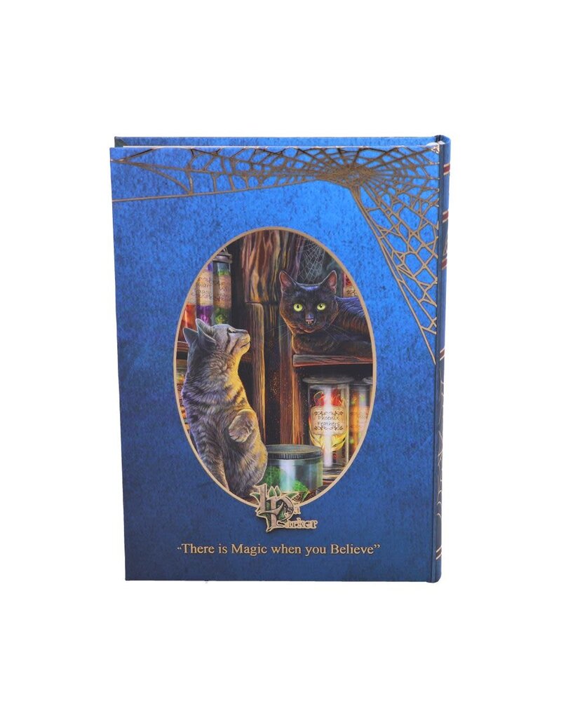 Lisa Parker Magical Emporium Journal (LP) 17cm