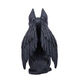 Nemesis Now Griffael 10.7cm