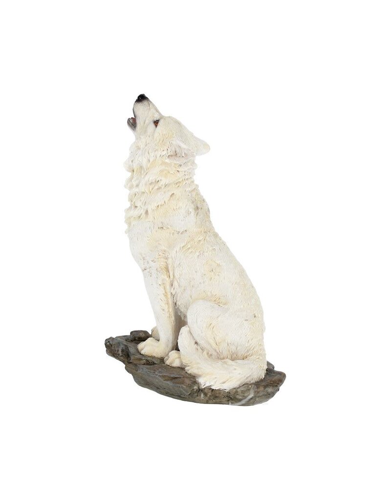 Nemesis Now Storms Cry 20cm (*M5)