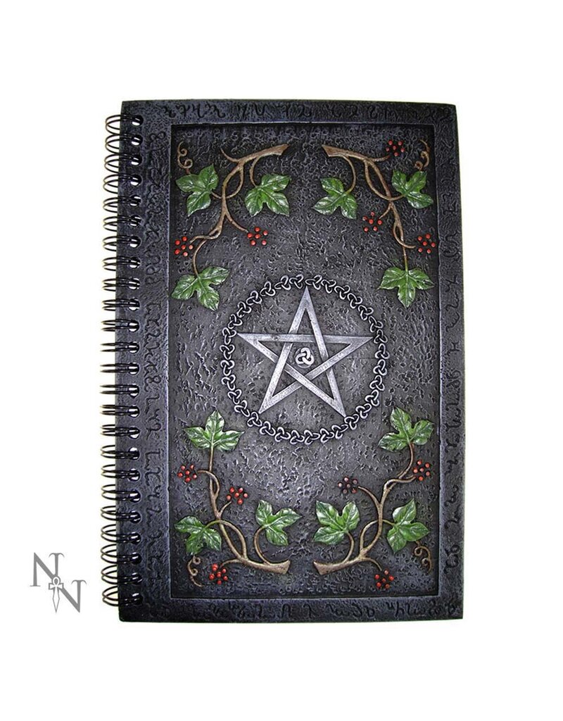 Nemesis Now Wiccan Book of Shadows (24cm)