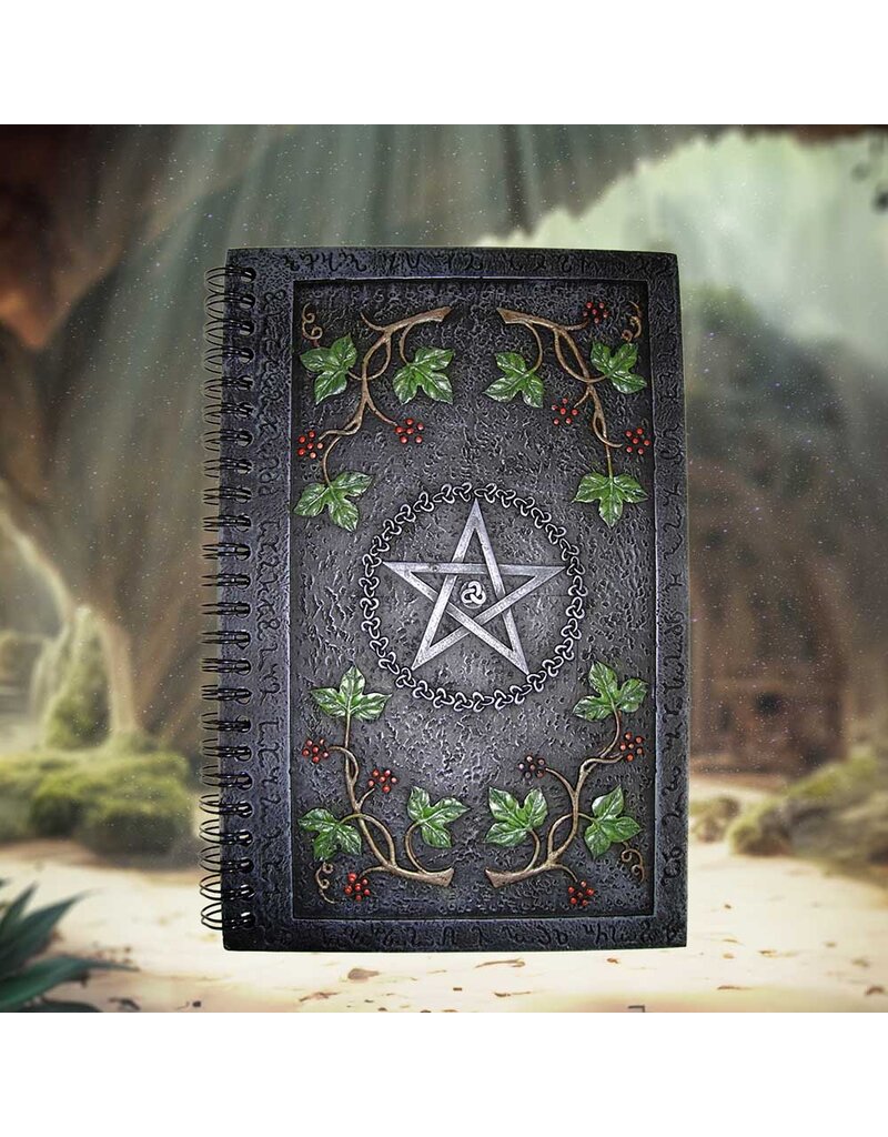 Nemesis Now Wiccan Book of Shadows (24cm)