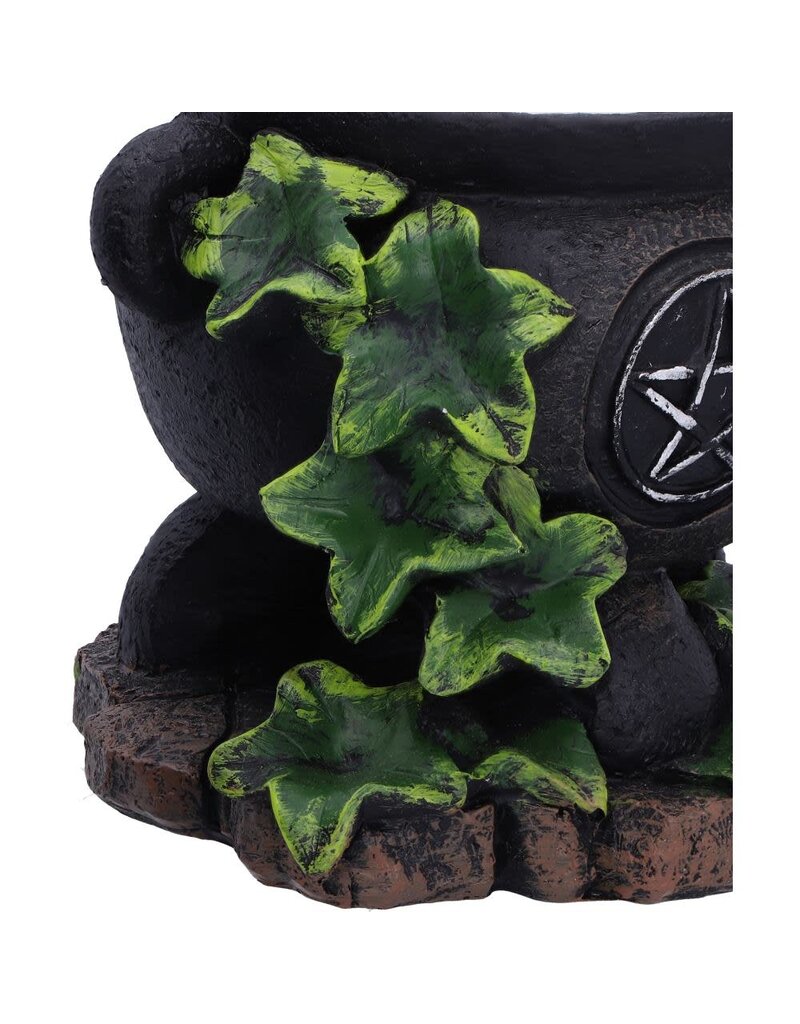 Nemesis Now Assorted Ivy Cauldron Candle Holder 1PCS