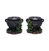 Nemesis Now Assorted Ivy Cauldron Candle Holder 1PCS