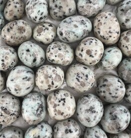 Kiwi Jasper - Gemstone Tumbled