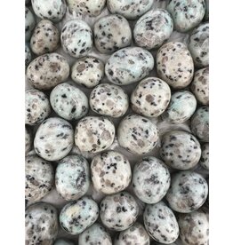 Kiwi Jasper - Gemstone Tumbled