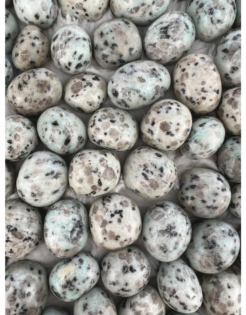 Kiwi Jasper - Gemstone Tumbled