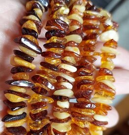 Genuine Baltic Amber Adult Stretch Bracelet with COA