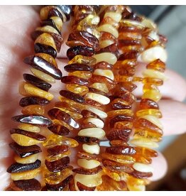 Genuine Baltic Amber Adult Stretch Bracelet with COA