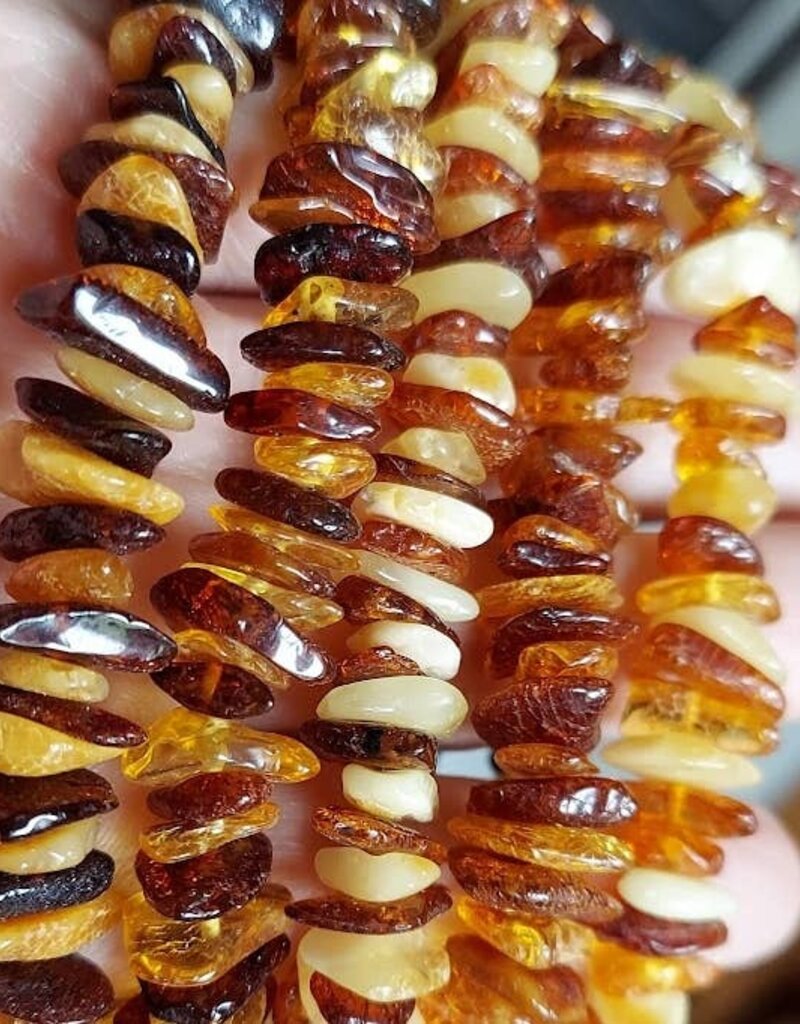 Genuine Baltic Amber Adult Stretch Bracelet with COA