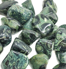 Kambaba Jasper - Large Gemstone Tumbled