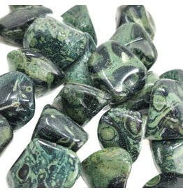 Kambaba Jasper - Large Gemstone Tumbled
