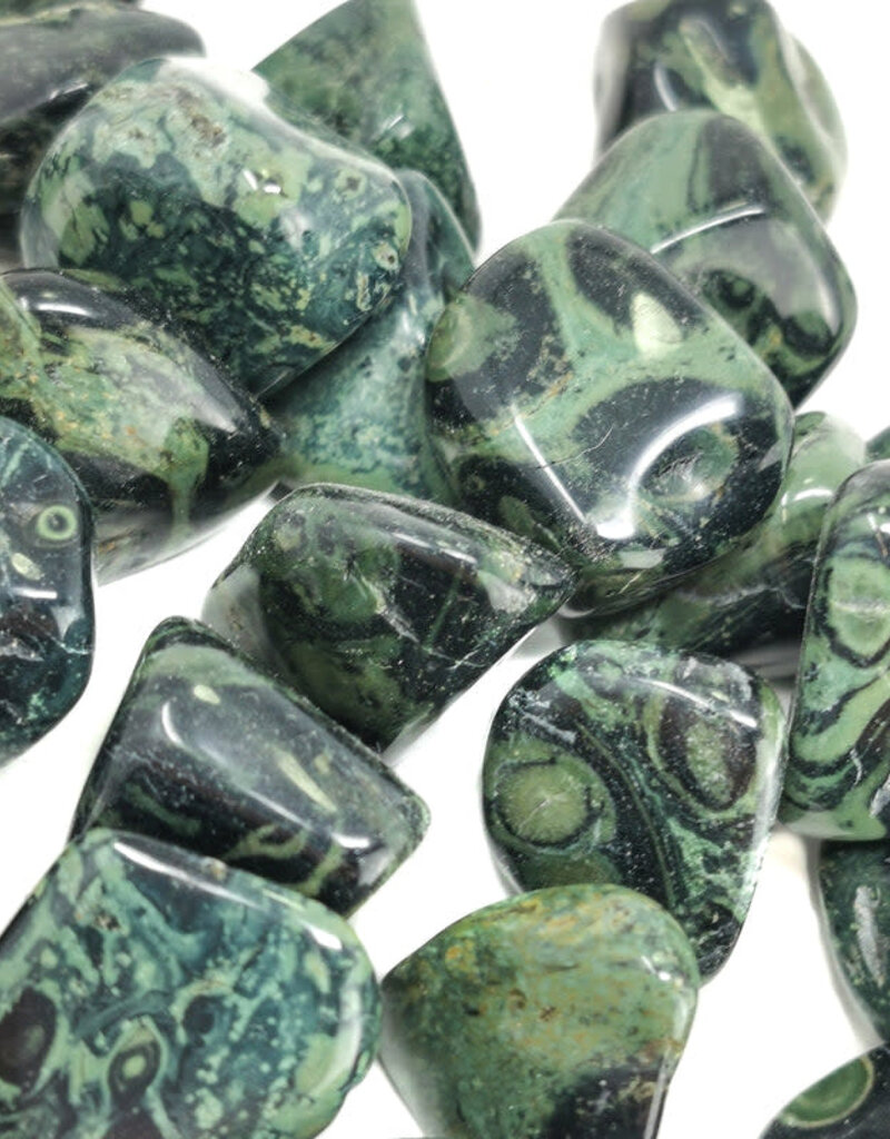 Kambaba Jasper - Large Gemstone Tumbled