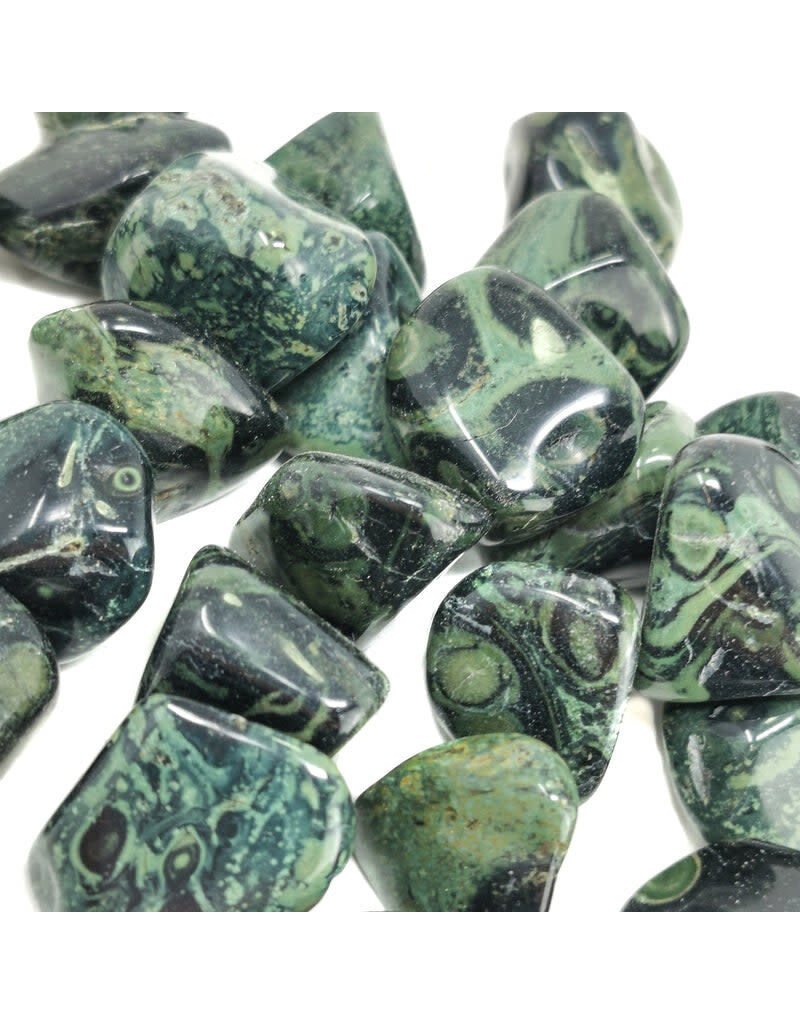 Kambaba Jasper - Large Gemstone Tumbled