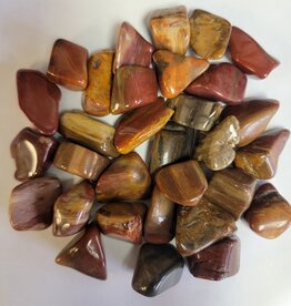 ** Petrified Wood - Small Gemstone Tumbled