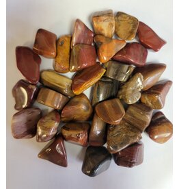 ** Petrified Wood - Small Gemstone Tumbled