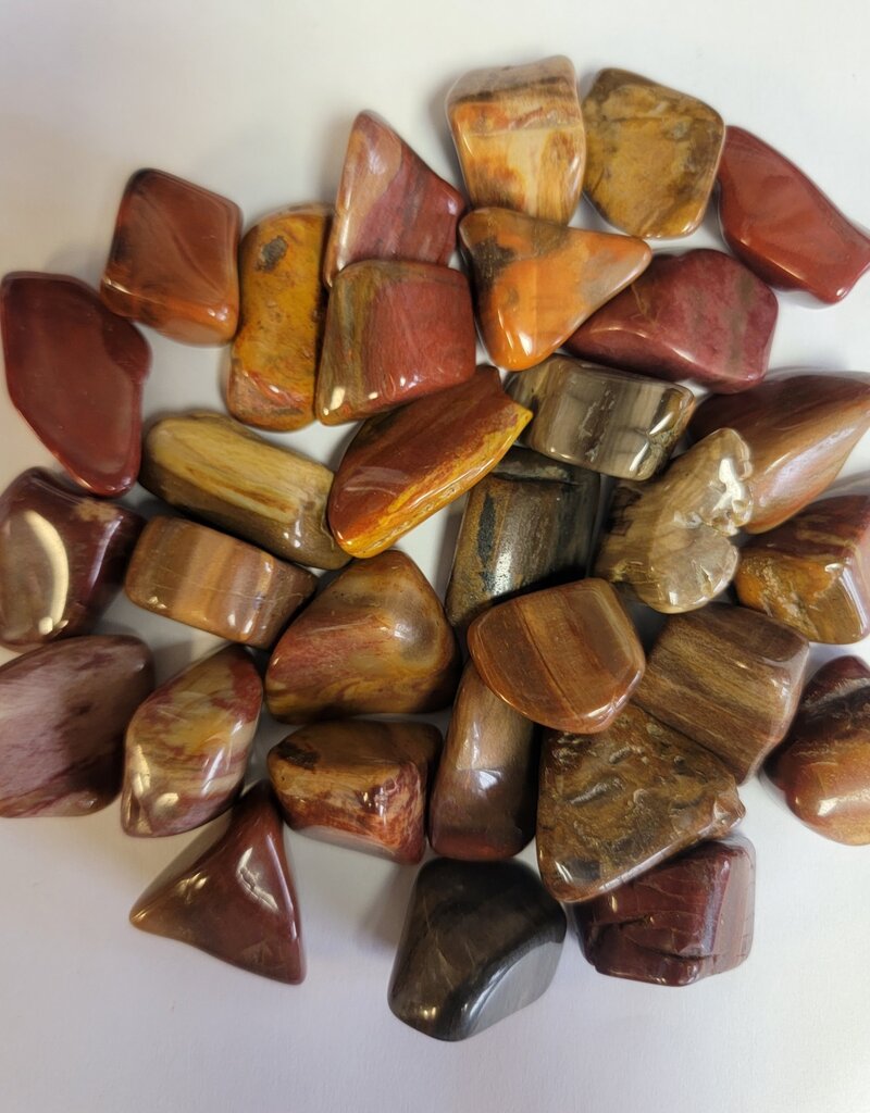 ** Petrified Wood - Small Gemstone Tumbled