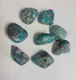 Chrysoprase - Small Gemstone Tumbled