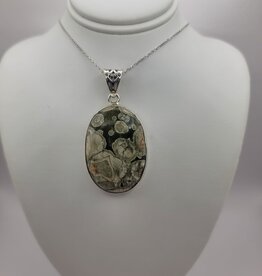 Turritella Pendant #10 - Gemstone