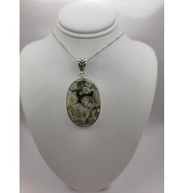 Turritella Pendant #10 - Gemstone