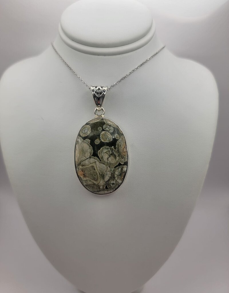 Turritella Pendant #10 - Gemstone