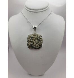 Turritella Pendant #11 - Gemstone