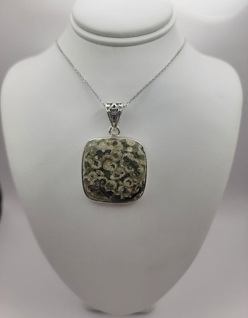 Turritella Pendant #11 - Gemstone