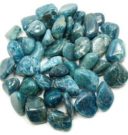 Apatite - Large Gemstone Tumbled