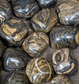 ** Stromatolite - Medium Gemstone Tumbled
