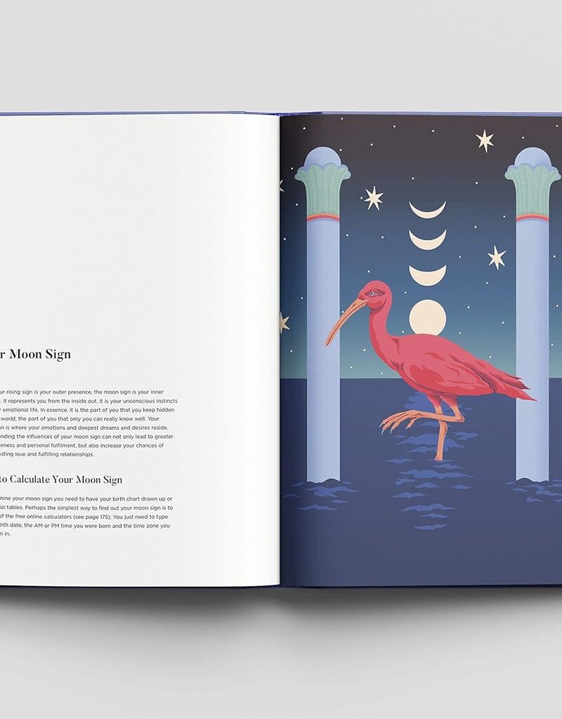 The Astrology Fix: A Modern Guide to Cosmic Self Care