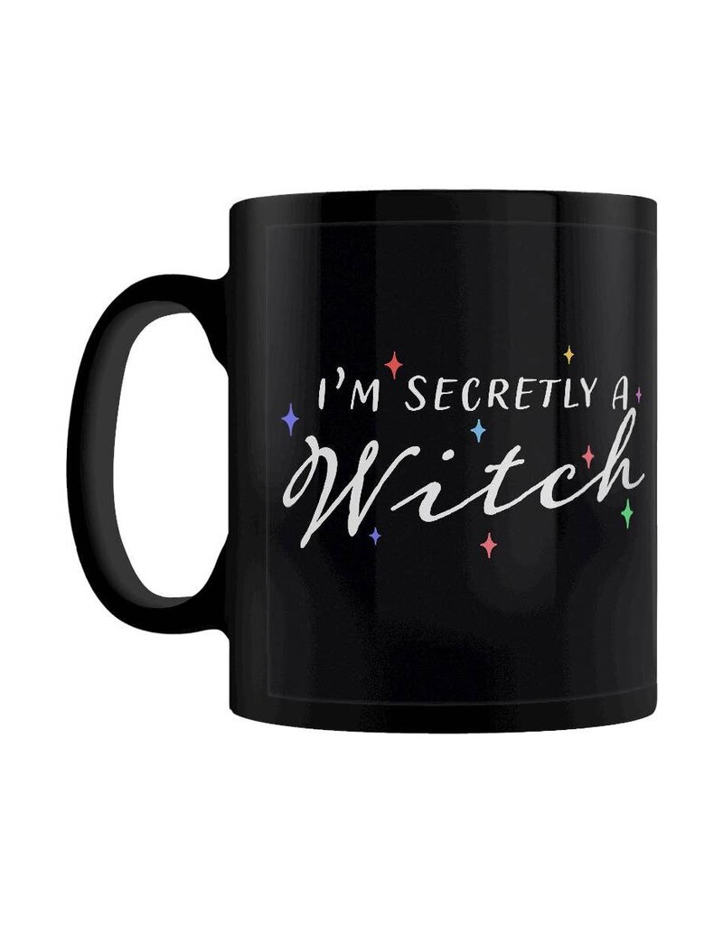 I’m Secretly A Witch Mug